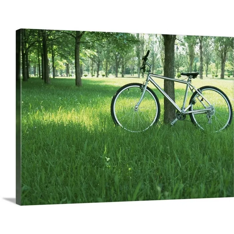 "Bicycle in shade of tree" Canvas Wall Art