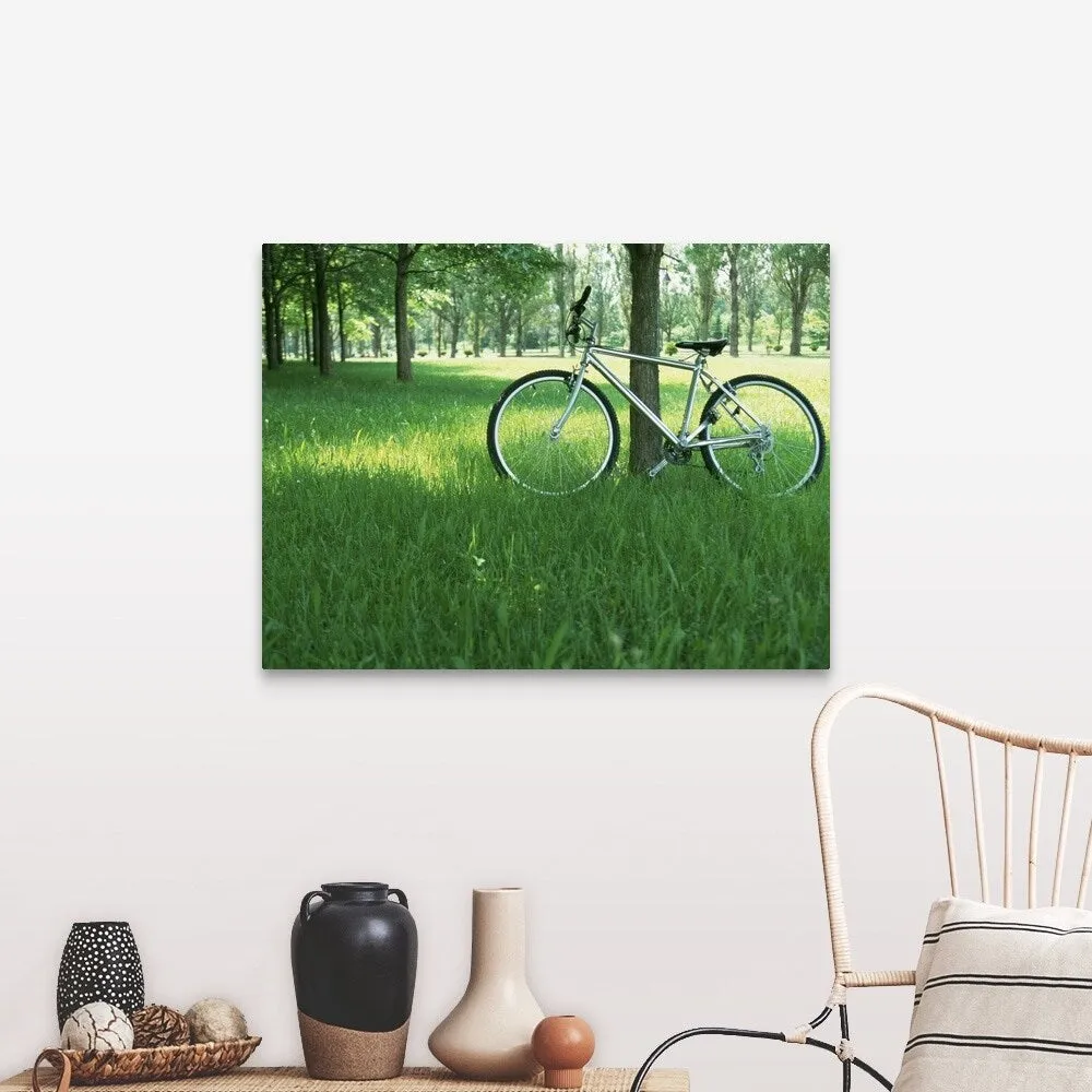 "Bicycle in shade of tree" Canvas Wall Art