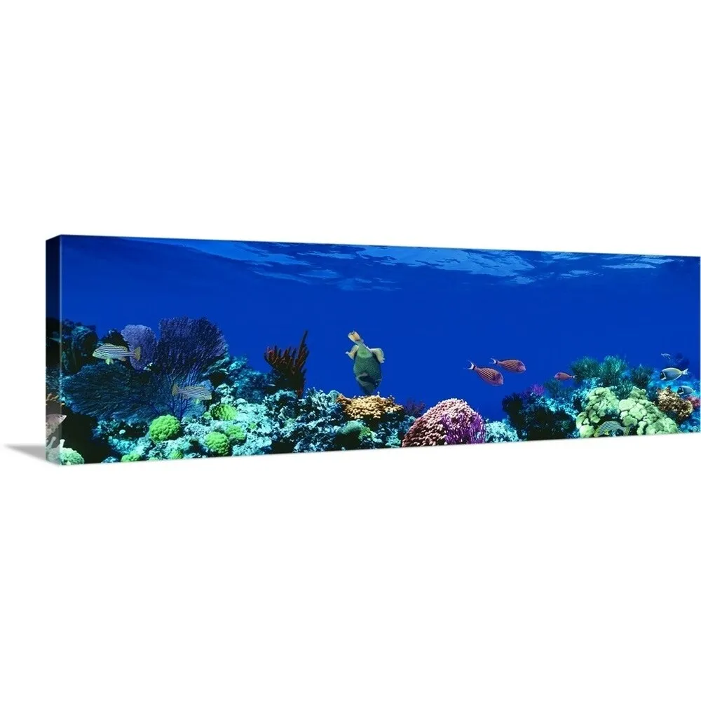 "Caribbean Sea" Canvas Wall Art