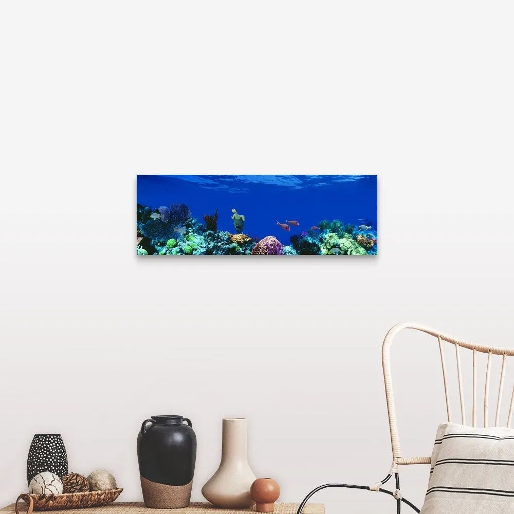 "Caribbean Sea" Canvas Wall Art